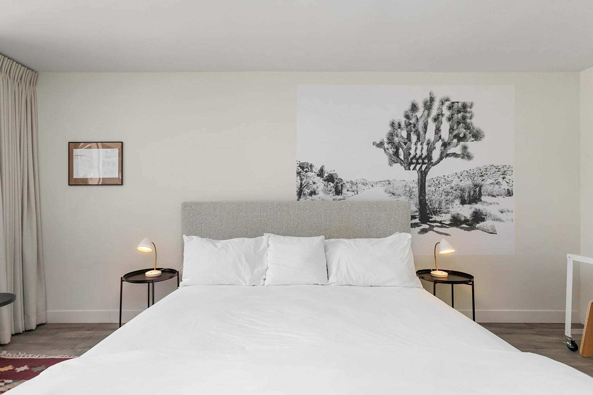 Papago Hotel By Reside, Trademark Collection By Wyndham Scottsdale Esterno foto
